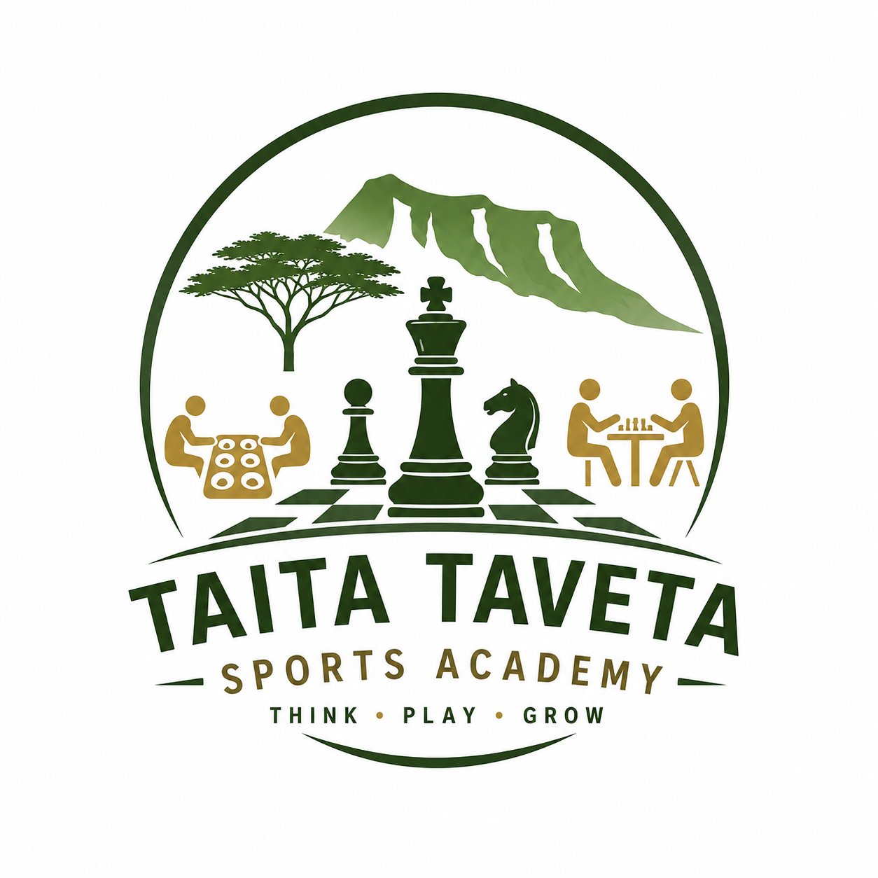 TTSA Chess Academy Logo